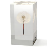 OLED TAMPOPO ライト