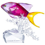 スワロフスキー フィギュリン アンティアス ( Swarovski Figurines Anthias Fish )
