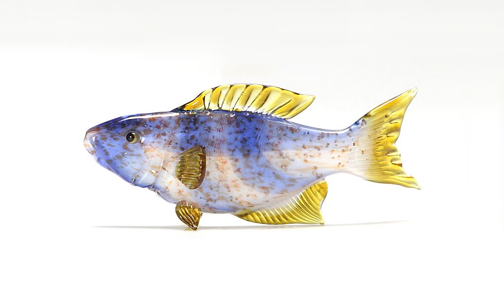 ビットリオ・コスタンティーニ 熱帯魚 ホワイト ブルー イエロー
