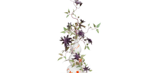 マイセン Vladimir Kanevsky アートキャンパス クレマチス ( Meissen Clematis by Vladimir Kanevsky, artCAMPUS )