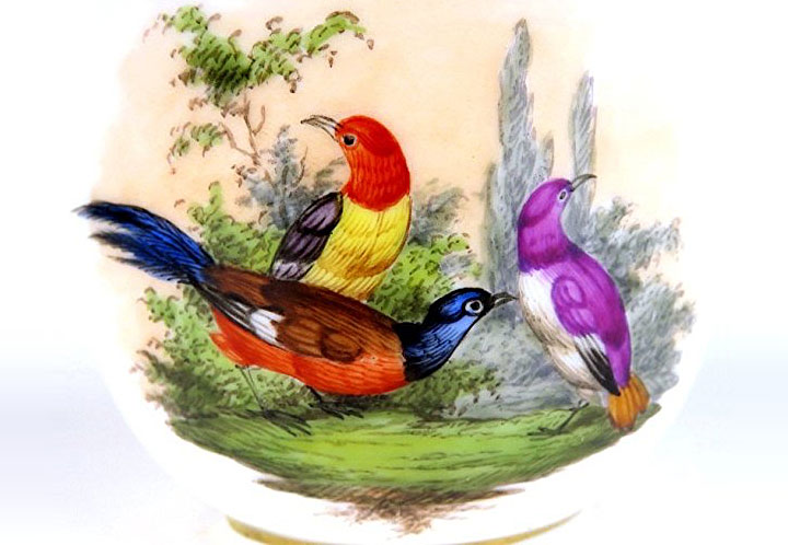 マイセン エキゾチックバード カップ プレート トリオ ( Meissen Exotic Bird Cup Plate Trio )