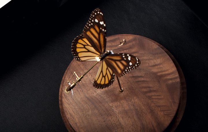 Paul Swan Topen 「時計仕掛け」の蝶