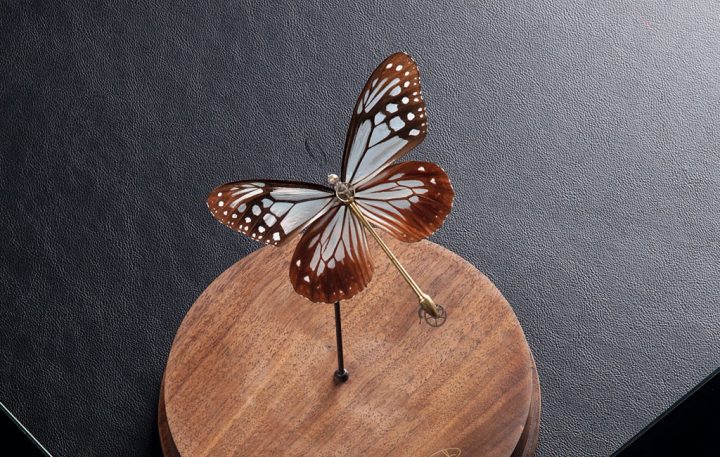 Paul Swan Topen 「時計仕掛け」の蝶