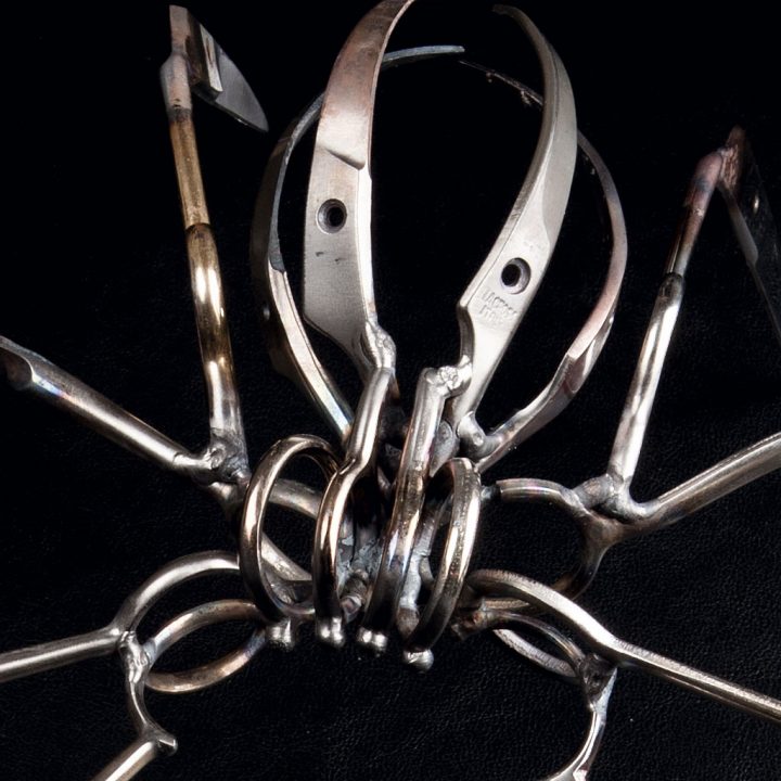 Christopher Locke 「Scissor Spiders」
