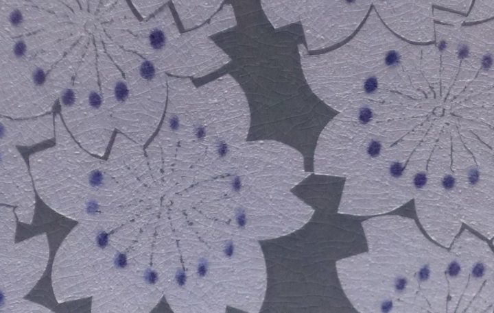 九谷焼 中田一於 13号飾皿 墨地紫苑釉裏銀彩花文